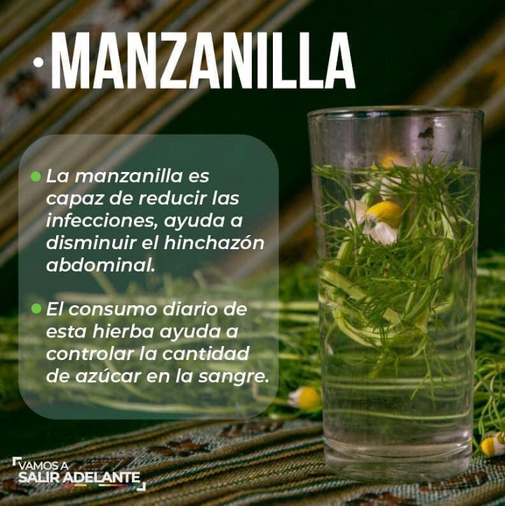 Beneficios de la manzanilla para mejorar la salud del sistema digestivo