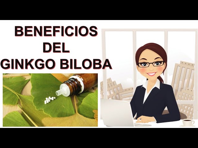 Beneficios y usos del Ginkgo Biloba: La planta medicinal para mejorar tu salud