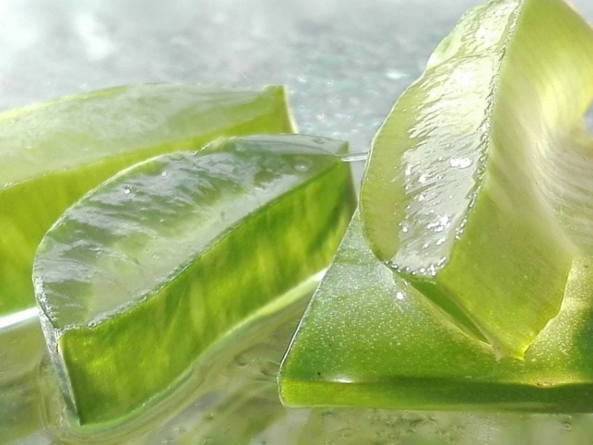 Deliciosas y saludables: Descubre las mejores recetas caseras con Aloe Vera