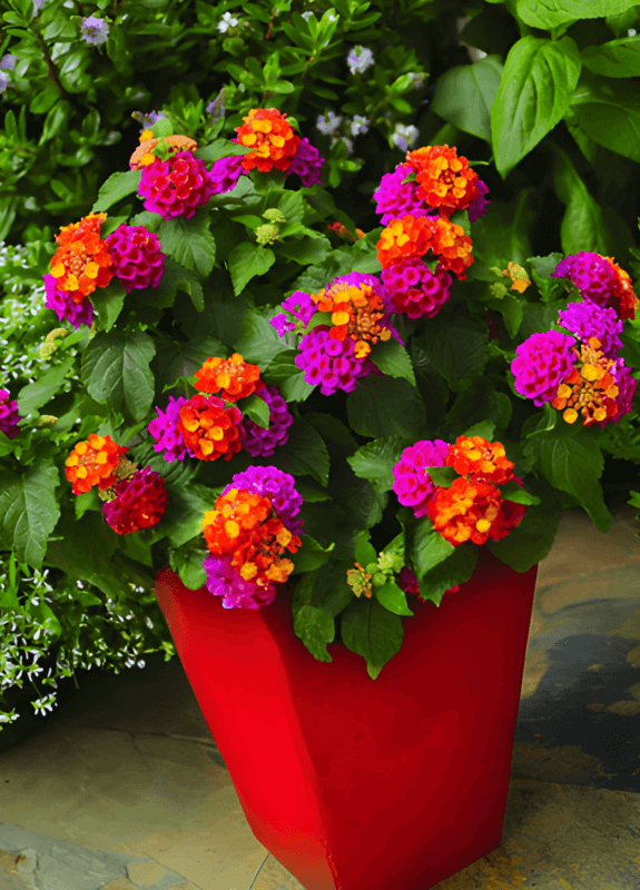 Descubre la belleza de los árboles ornamentales en tu jardín: colores, formas y fragancias para realzar tu espacio exterior