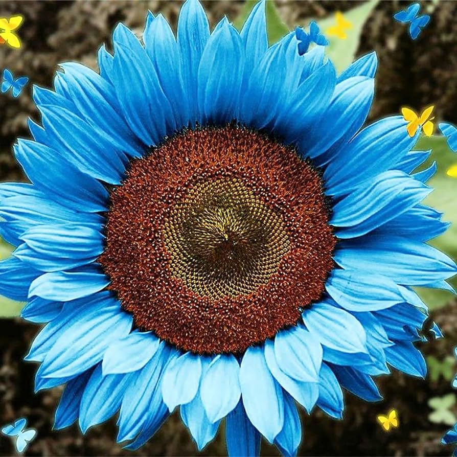 Descubre la belleza de los Girasoles Enanos: Un toque de alegría para tu jardín