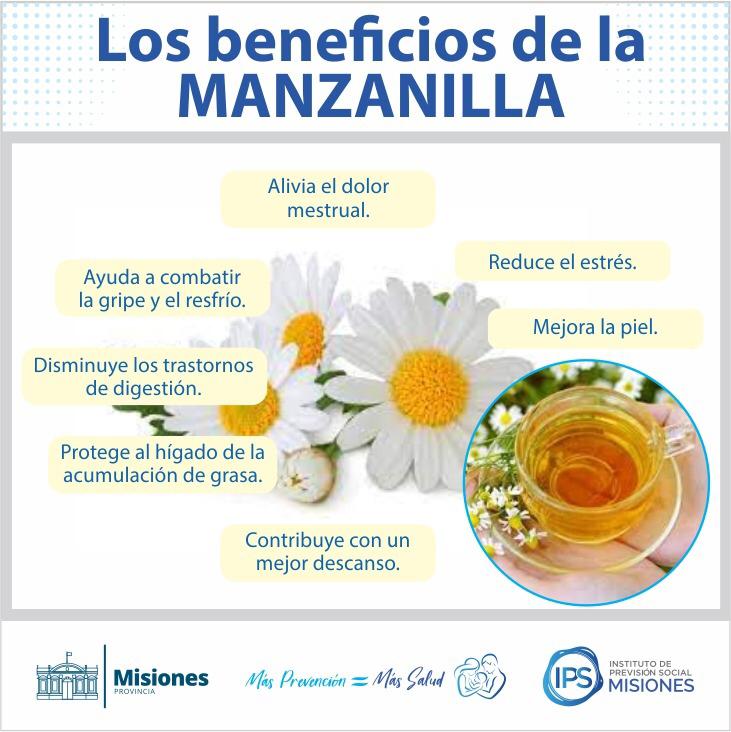 Los increíbles beneficios y usos de la manzanilla: una planta medicinal multifacética