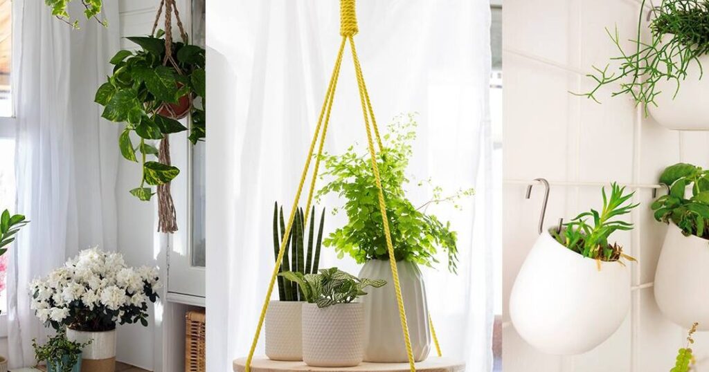 Plantas colgantes en macramé: descubre cómo decorar tu hogar con estilo y naturaleza