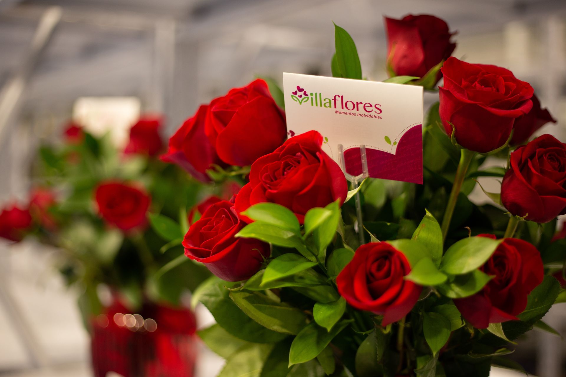 Rosas rojas: el símbolo de amor y romanticismo en tu jardín