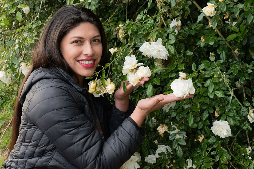 Rosas trepadoras: belleza y versatilidad en el jardín