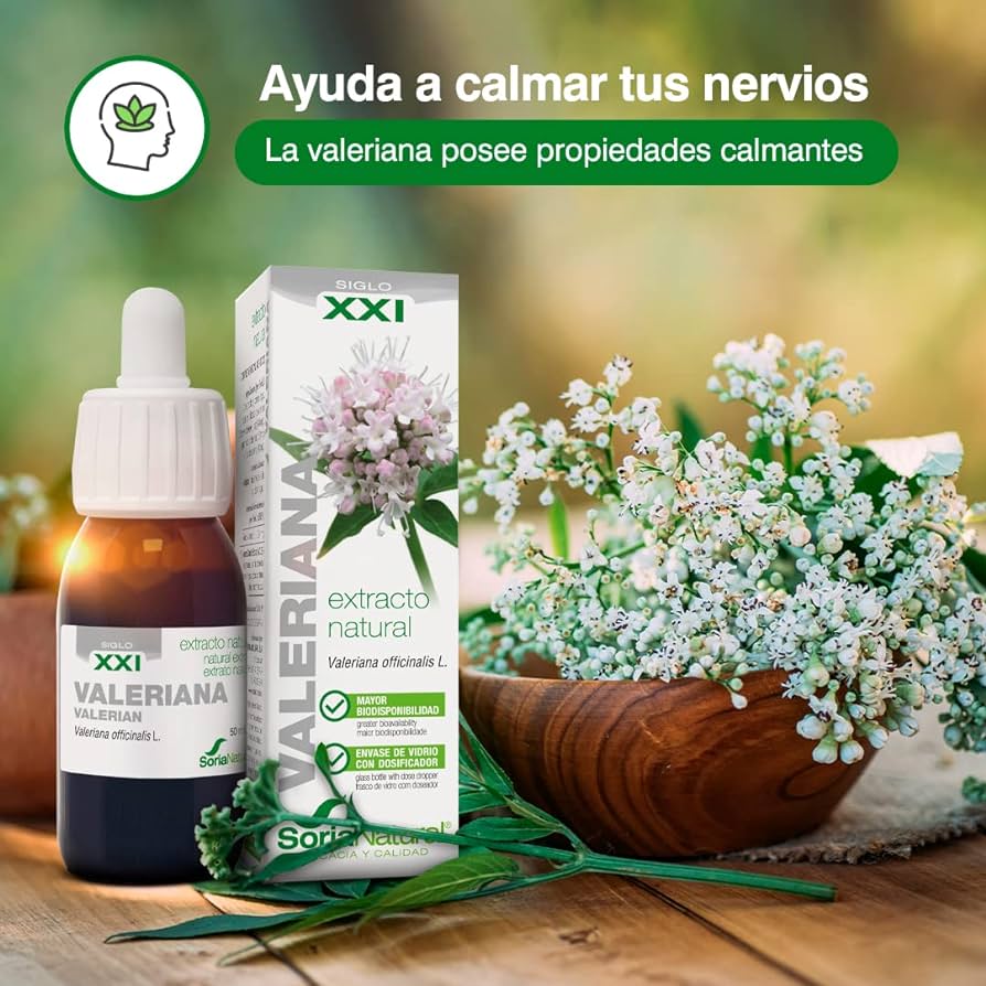 Valeriana: la planta medicinal para combatir el estrés y mejorar el sueño